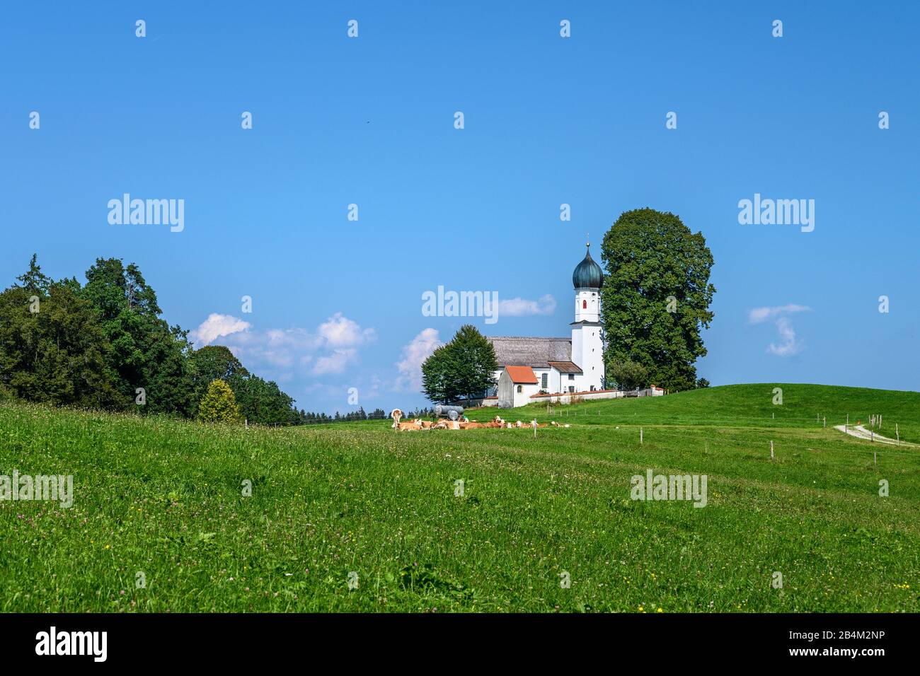 Allemagne, Bayern, Oberbayern, Tölzer Land, Bad Heilbrunn, Ortsteil Oberbuchen, Kirche Sankt Maria Banque D'Images