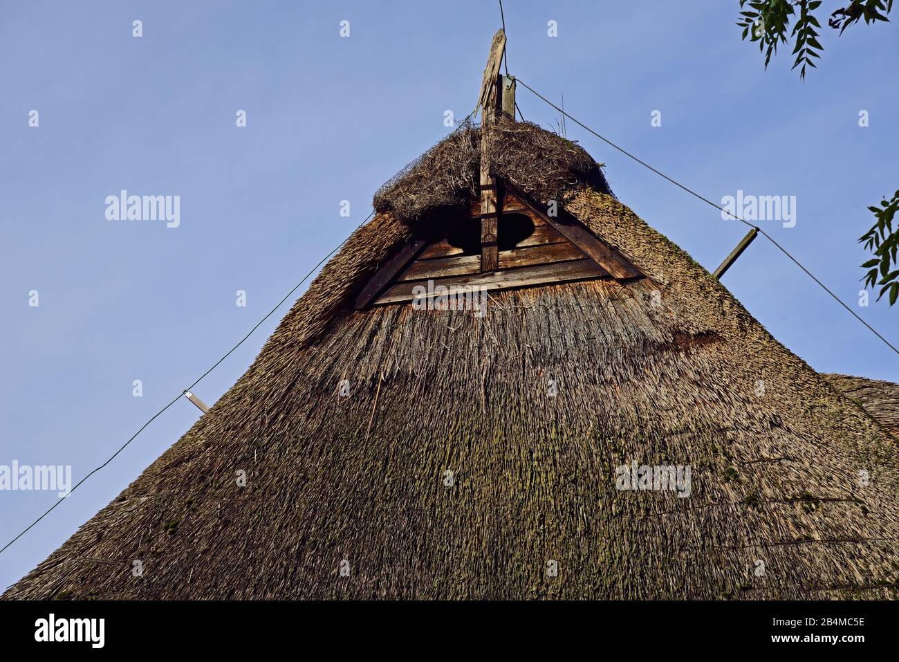Europe, Allemagne, Basse-Saxe, toit de chaume, pignon, wim, devant être rénové, Banque D'Images