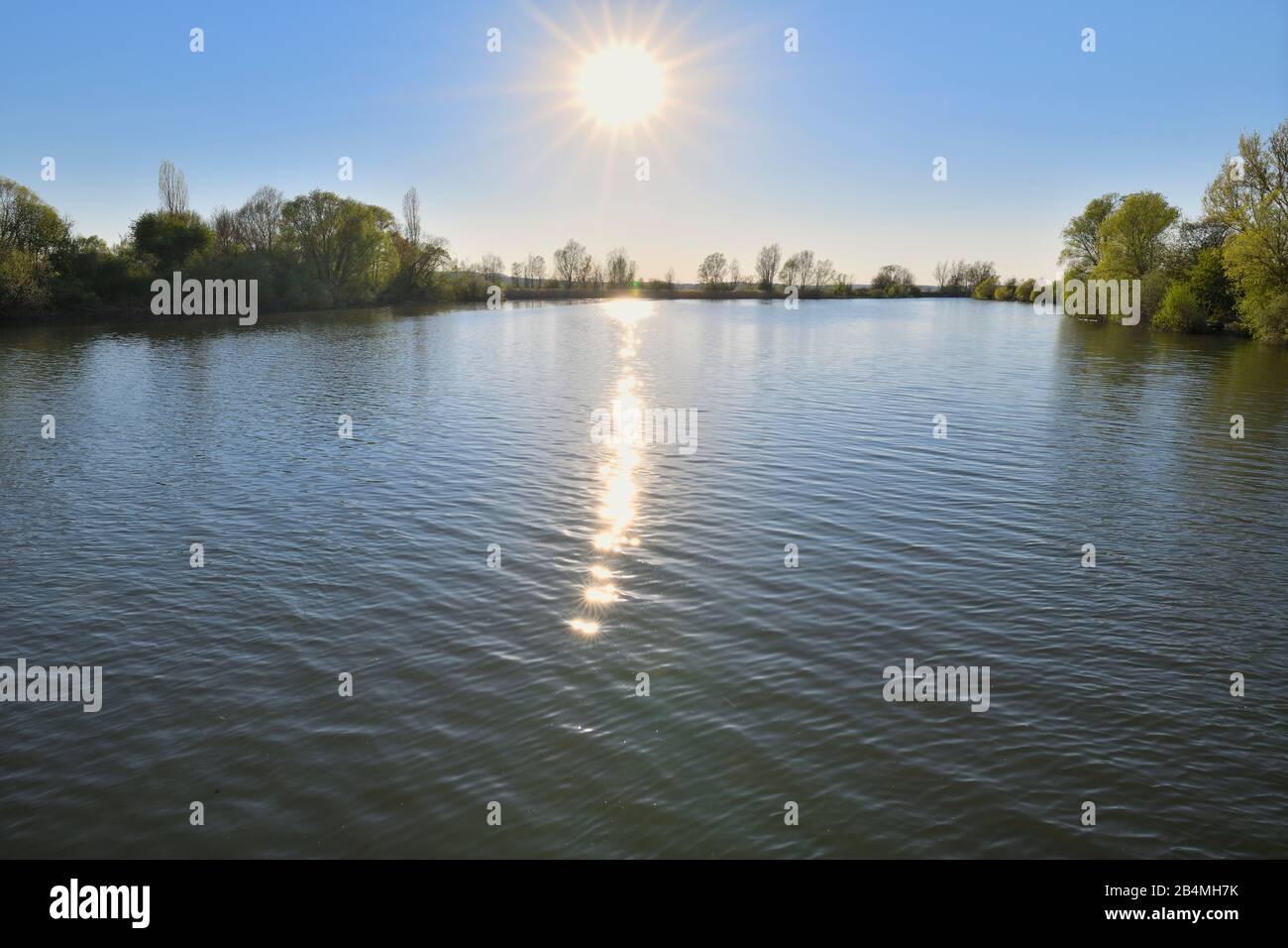 Lac Altmühlsee au coucher du soleil au printemps, Muhr am See, Gunzenhausen, Franconian Lake District, Franconie centrale, Bavière, Allemagne Banque D'Images