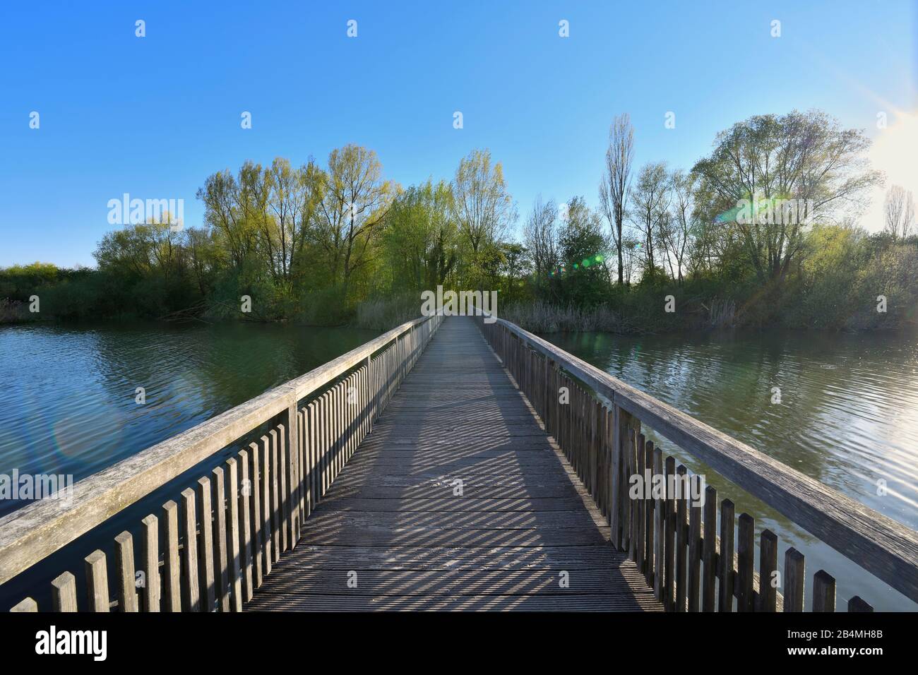 Lac Altmühlsee avec passerelle en bois au printemps, Muhr am See, Gunzenhausen, Franconian Lake District, Franconie centrale, Bavière, Allemagne Banque D'Images