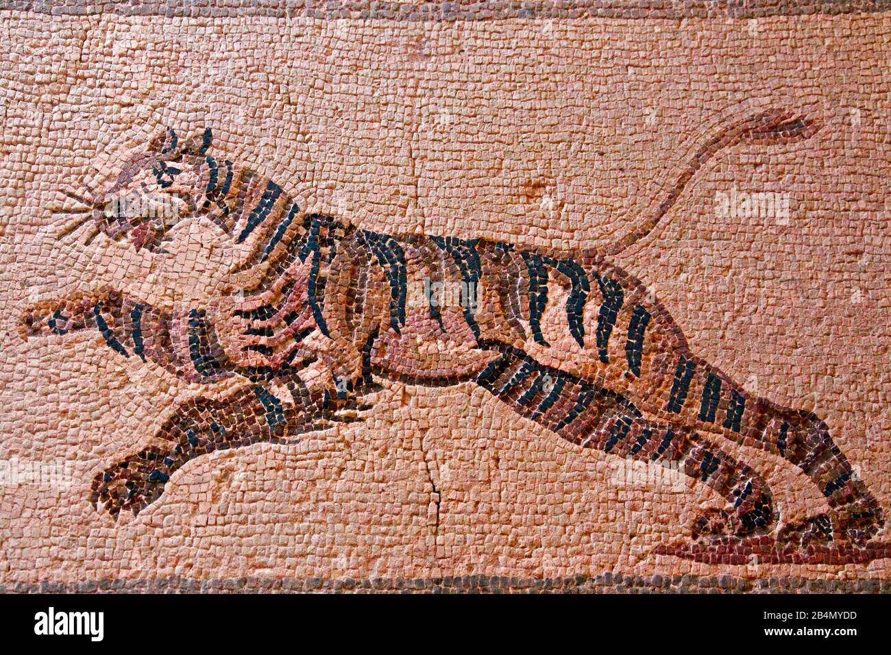 Paphos, Parc archéologique, Maison de Dionysus, le porticus du sud, un tigre épargné par le chasseur s'échappe de la poussière, Chypre, partie grecque Banque D'Images