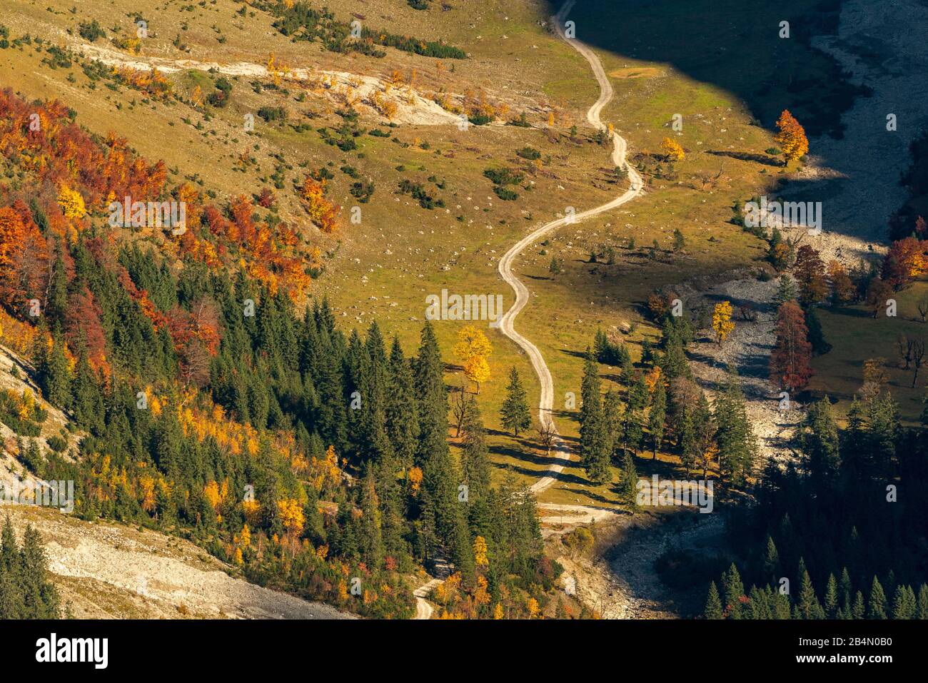 Détail du chemin forestier dans le Johannistal dans le Karwendel avec des feuilles de couleur automne. Banque D'Images