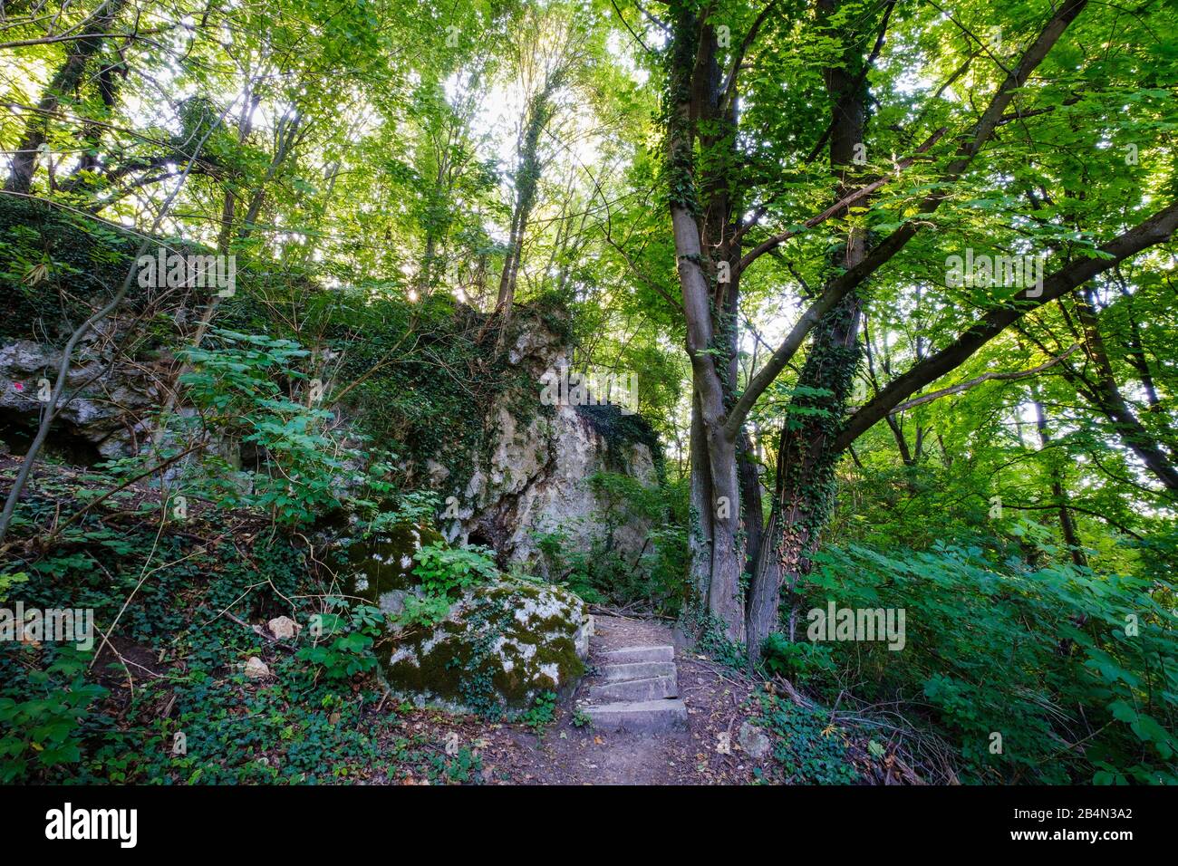 Zone De Protection De La Nature Max-Schultze-Steig, Regensburg, Haut-Palatinat, Bavière, Allemagne Banque D'Images