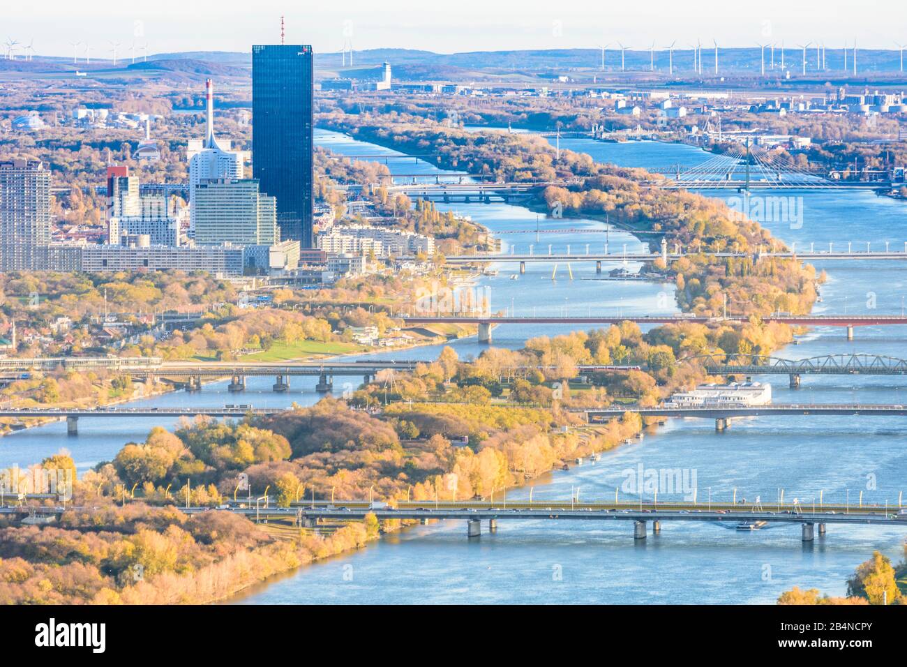 Vienne, vue de montagne Leopoldsberg à Vienne, Donaucity et rivière Donau (Danube), Neue Donau (Nouveau Danube), île Donauinsel, DC Tower 1 en Autriche, Wien, 00. Quartier, vue d'ensemble Banque D'Images