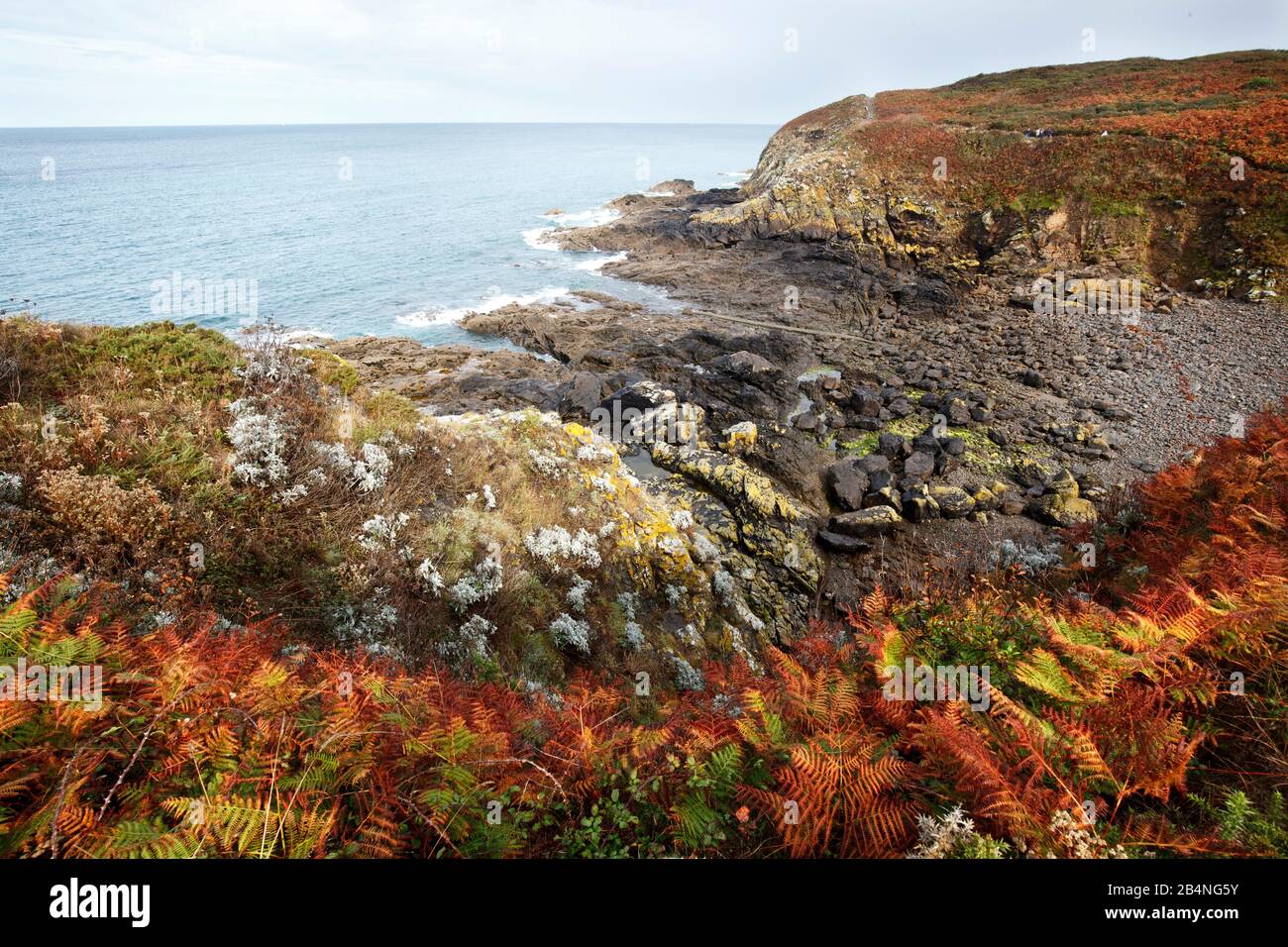 Couleurs d'automne sur la « Côte d'Émeraude ». Une section de côte en Bretagne est connue sous le nom de Côte d'Émeraude (côte émeraude allemande). Banque D'Images