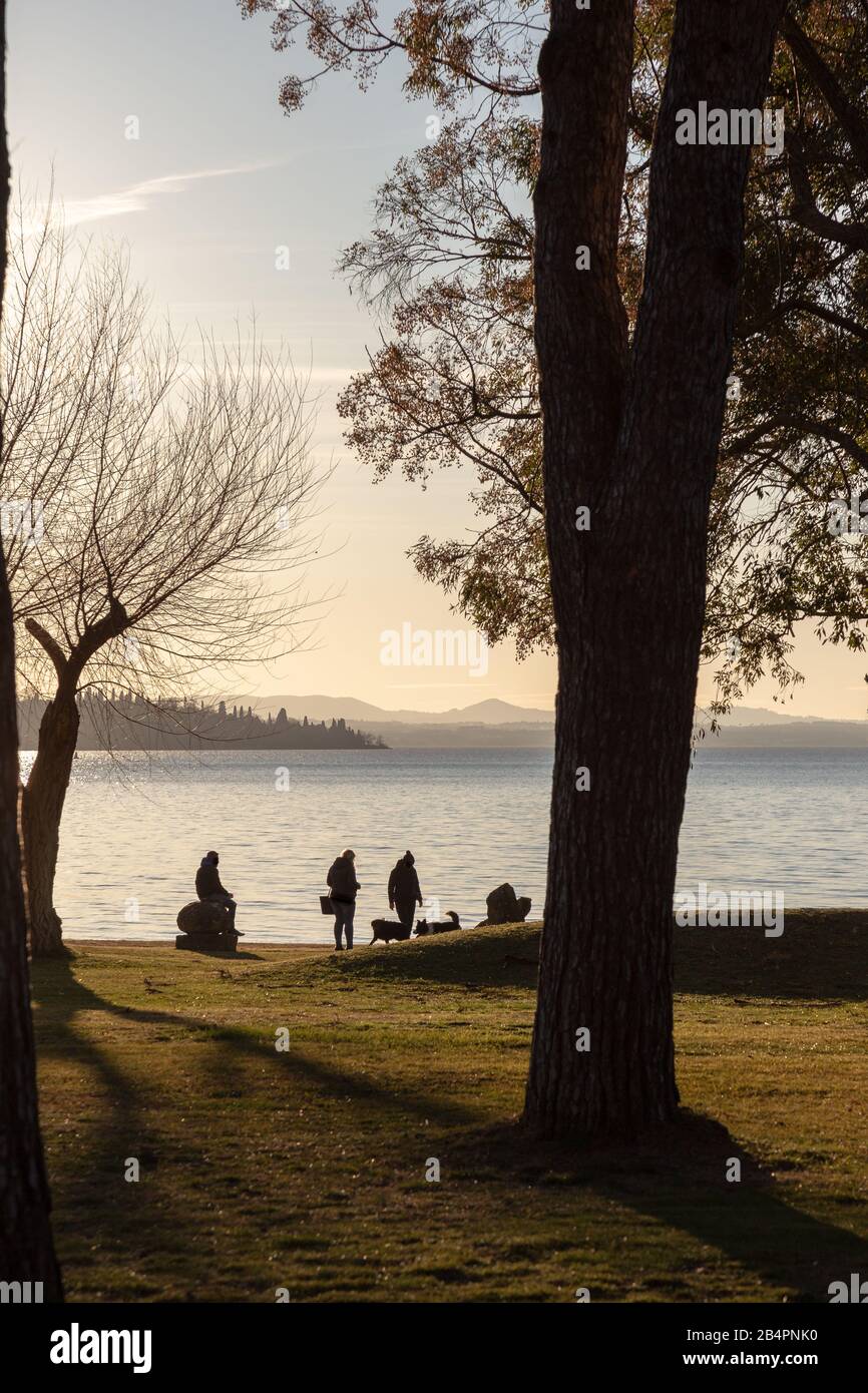Les gens silhouettes sur un rivage de lac avec deux chiens et arbres à l'heure d'or Banque D'Images