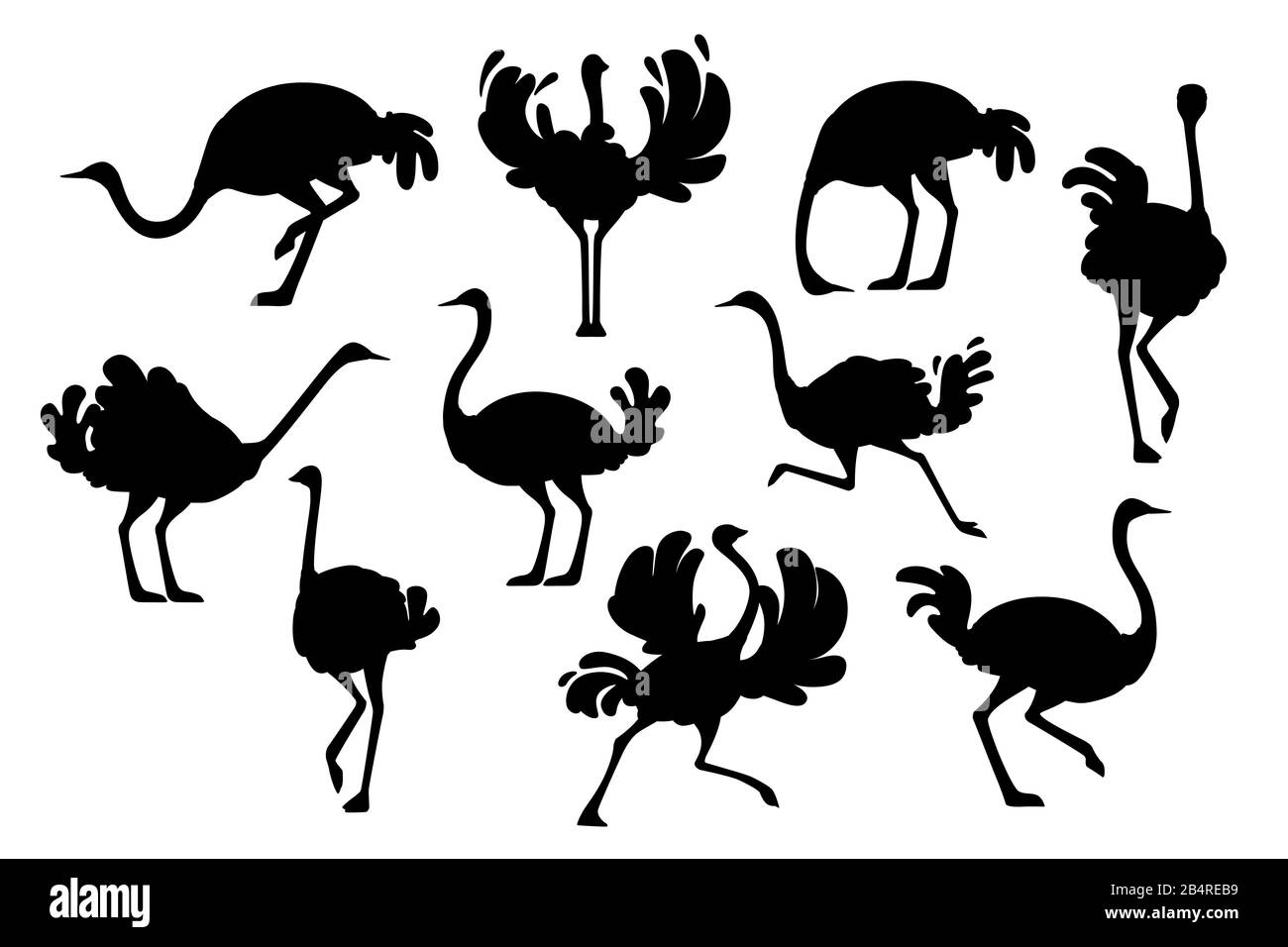 Silhouette noire ensemble de mignons autruches africaines sans flaiques motif animal dessin vectoriel plat isolé sur fond blanc. Illustration de Vecteur