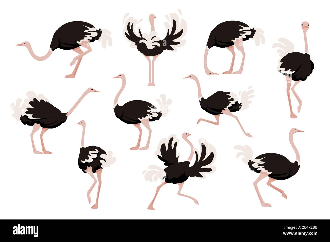Ensemble de mignons oiseaux autruches africains sans flightless caricature animal design plate illustration vectorielle isolée sur fond blanc. Illustration de Vecteur