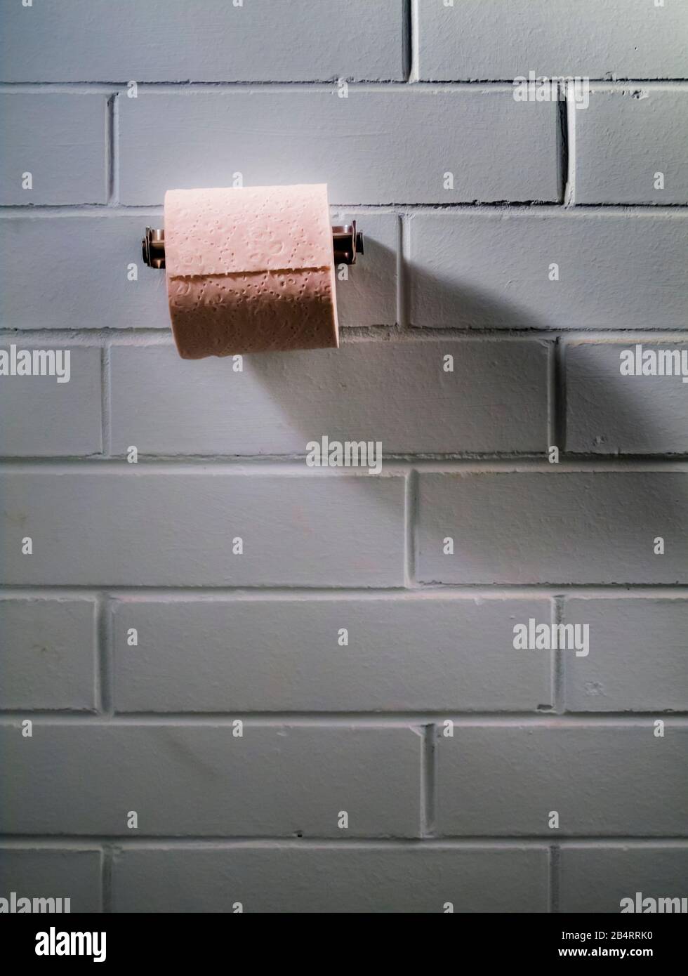 Rouleau de papier toilette sur le support Banque D'Images