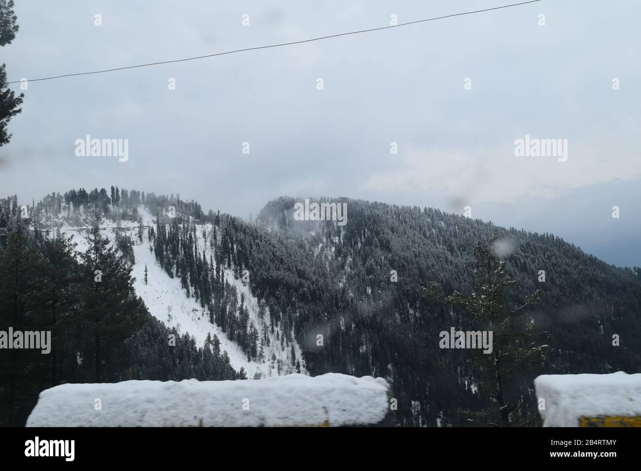 Belle vue sur les arbres enneigés, les montagnes et le ciel nuageux Banque D'Images