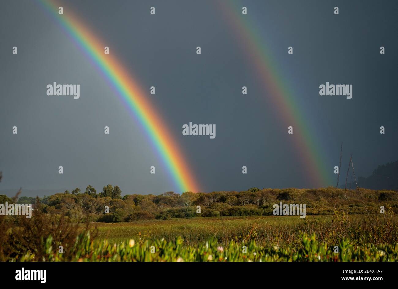 Arcs-en-ciel et tempête au-dessus du marais à Carmel River State Beach, Californie. Banque D'Images