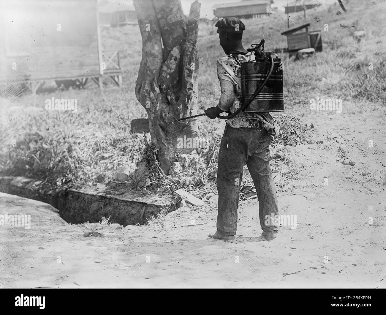 La construction du canal de Panama fonctionne au début du XXe siècle. Une exterminateur de moustiques au travail dans la zone du canal. 1910 Banque D'Images
