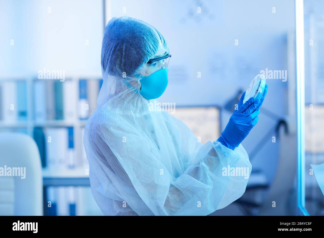 Vue latérale horizontale prise par un scientifique de laboratoire médical non reconnaissable qui tient un plat de Petri avec un spécimen de virus qui le regarde Banque D'Images