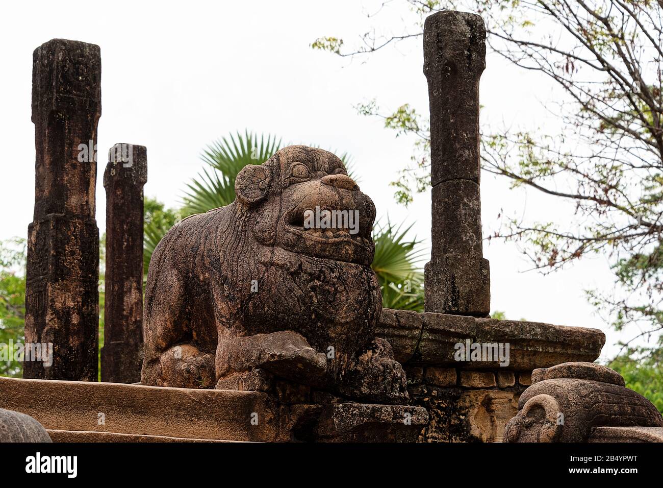 Polonnaruwa, Sri lanka, septembre 2015 : ruines de la place, rerevendiquées dans la jungle. Polonnaruwa a été établi par le Cholas comme capitale sous le nom de Ja Banque D'Images