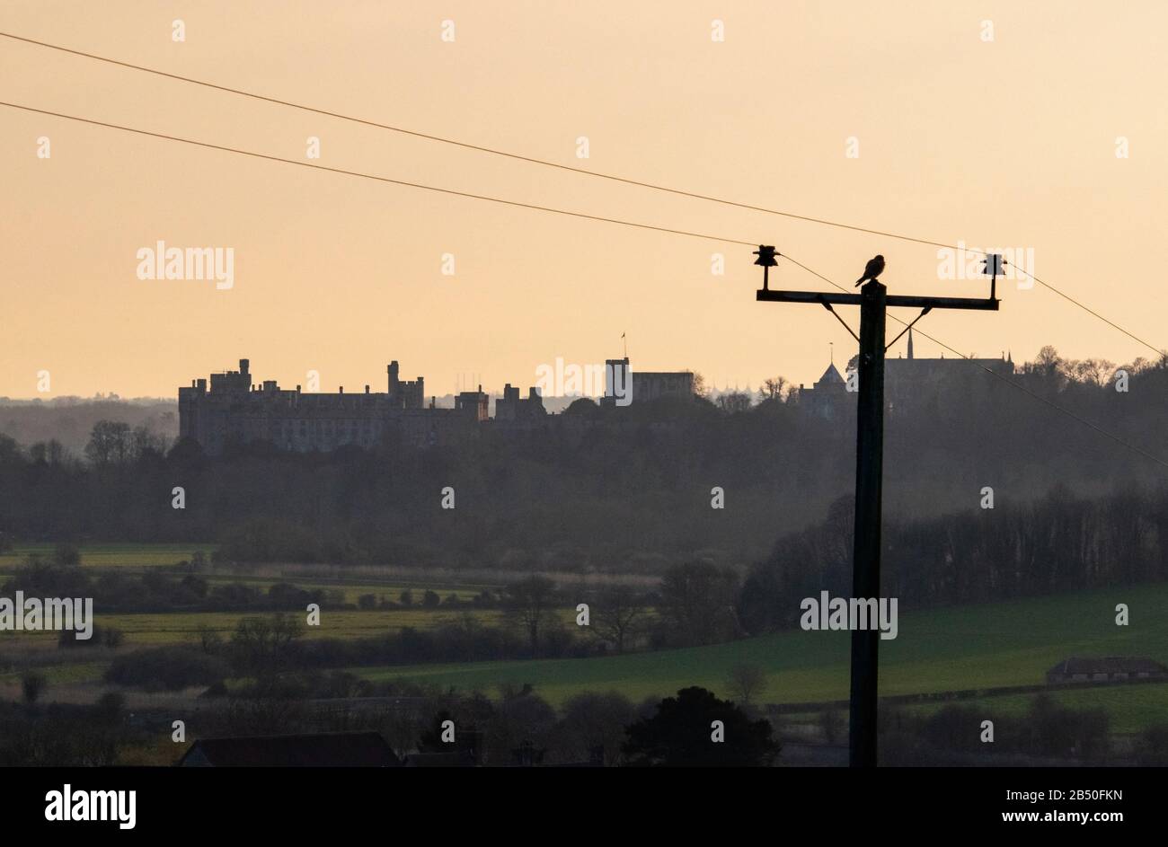 Silhouette de Kestrel devant le château d'Arundel Banque D'Images