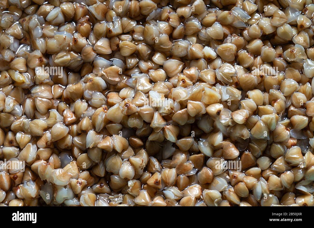 Des Croupes Banque De Photographies Et D Images A Haute Resolution Alamy