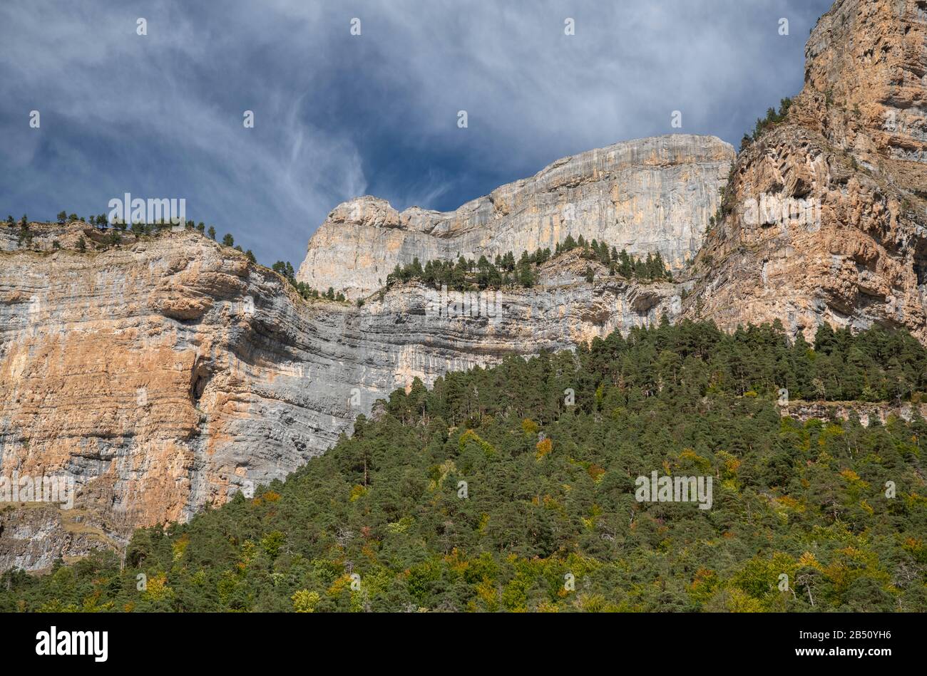 Falaises de calcaire et bois de pin et de hêtre montagnard dans le parc national Ordesa y Monte Perdido, Pyrénées espagnoles. Banque D'Images