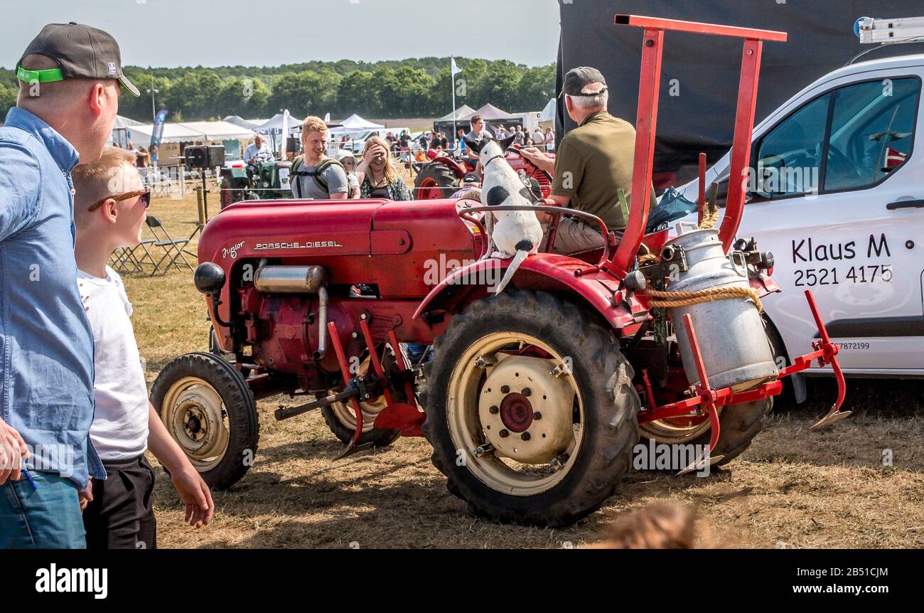 Auning, Danemark - 26 maj 2018 : ancien marché agricole d'Estrup, ancien tracteur ancien combattant Banque D'Images