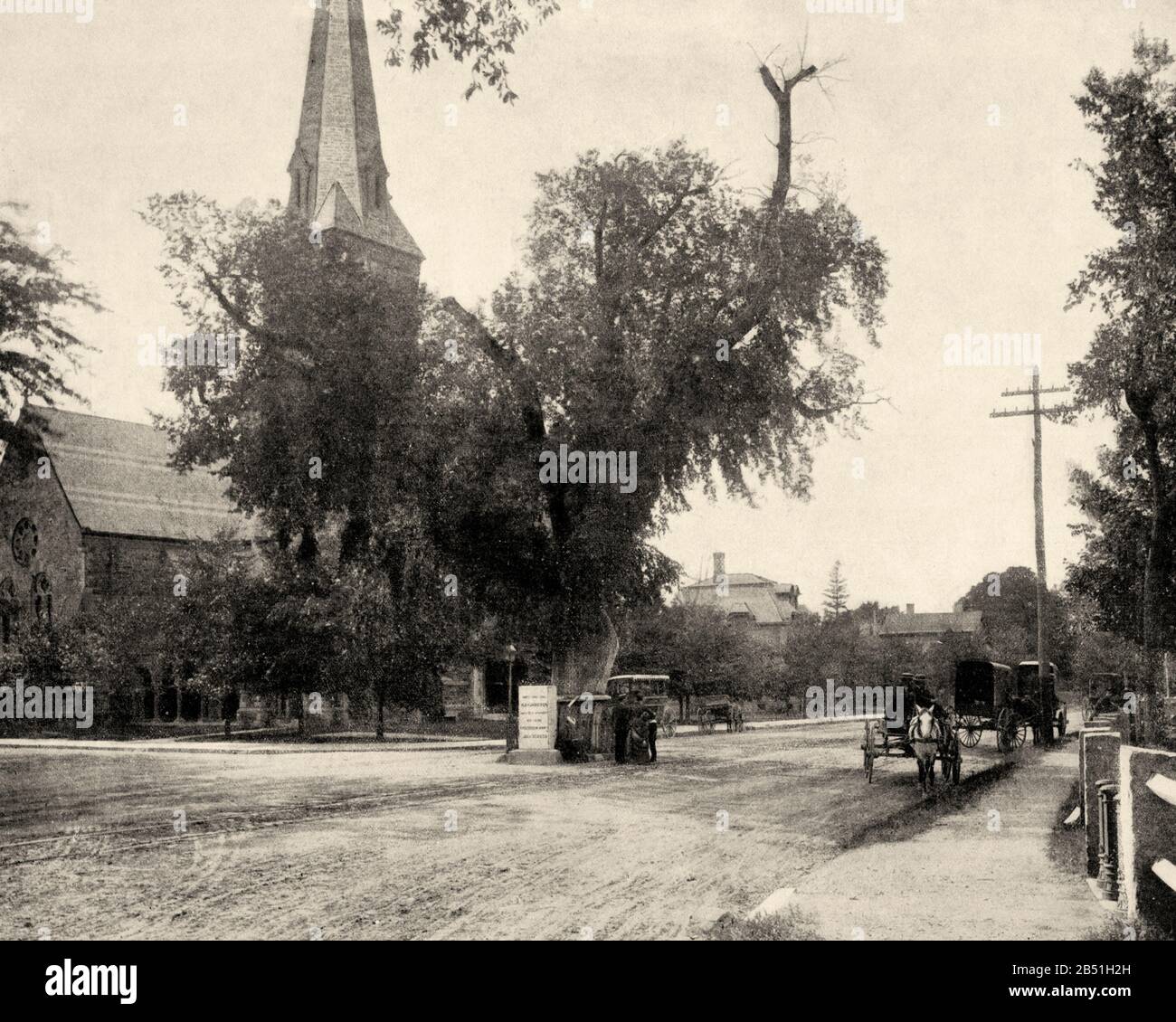 Washington Elm Et Memorial Stone, Cambridge, Massachusetts, États-Unis. Ancienne photographie de la fin du XIXe siècle du Portfolio de Photographies de John L S Banque D'Images