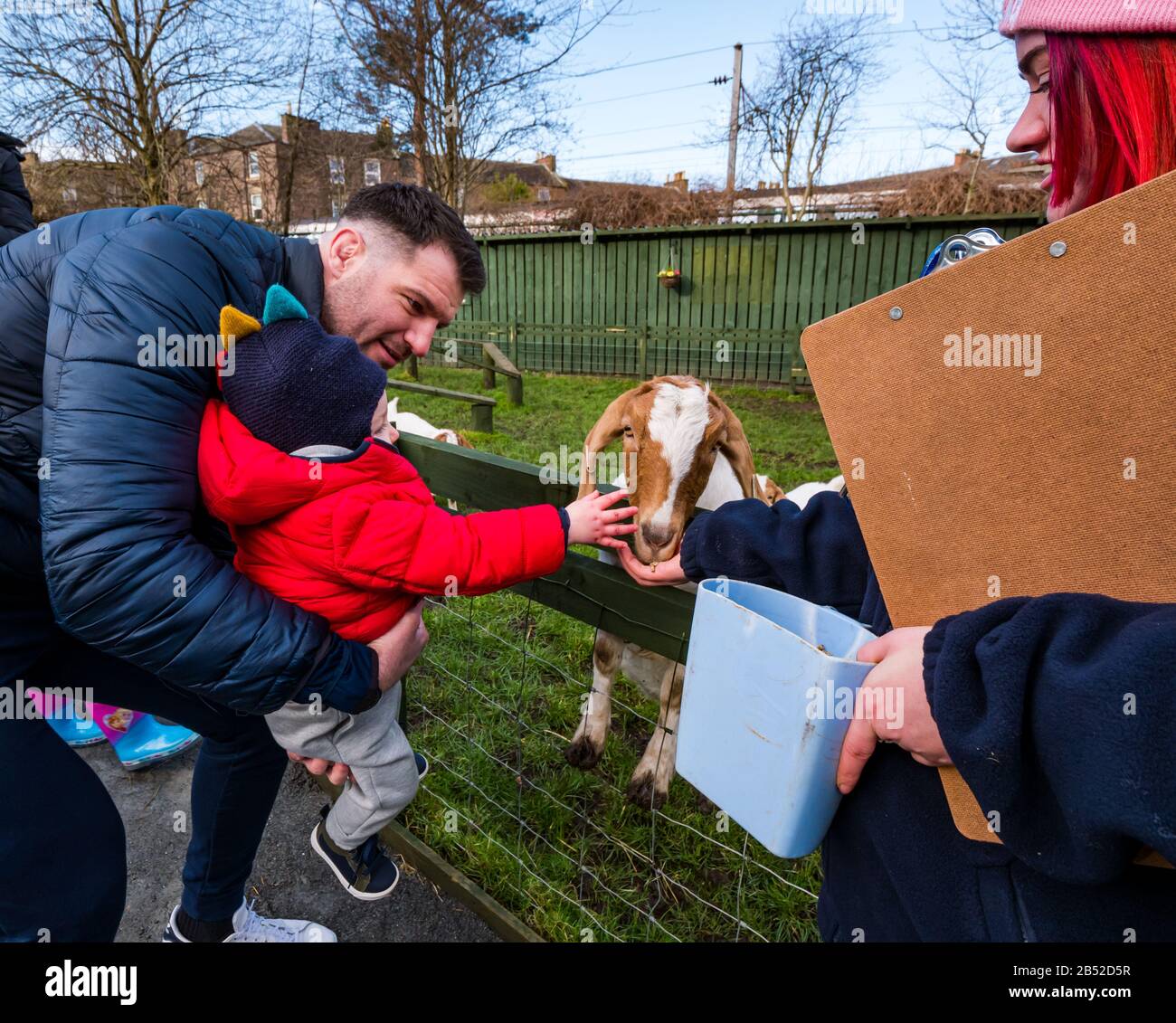 Fraser McKenzie, joueur de rugby d'Édimbourg et fils de bébé Warren nourrissant un Billy goat kid, Love Gorgie Farm, Édimbourg, Écosse, Royaume-Uni Banque D'Images