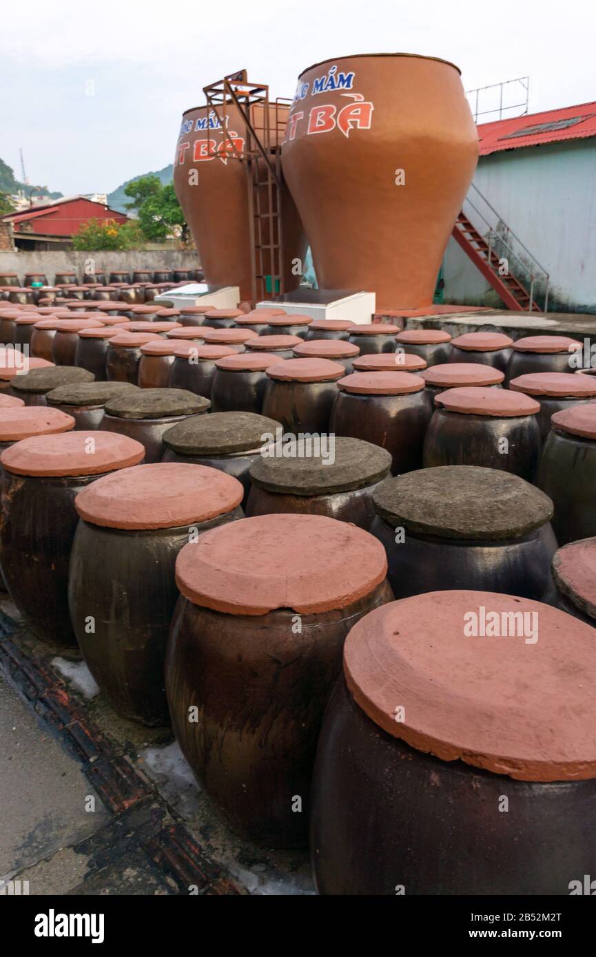 Cat Ba Island, Vietnam 17 Octobre 2019. Gros bocaux en production de sauce poisson au Vietnam. Usine de production de sauce de poisson sur l'île de Cat Ba. Beaucoup Banque D'Images