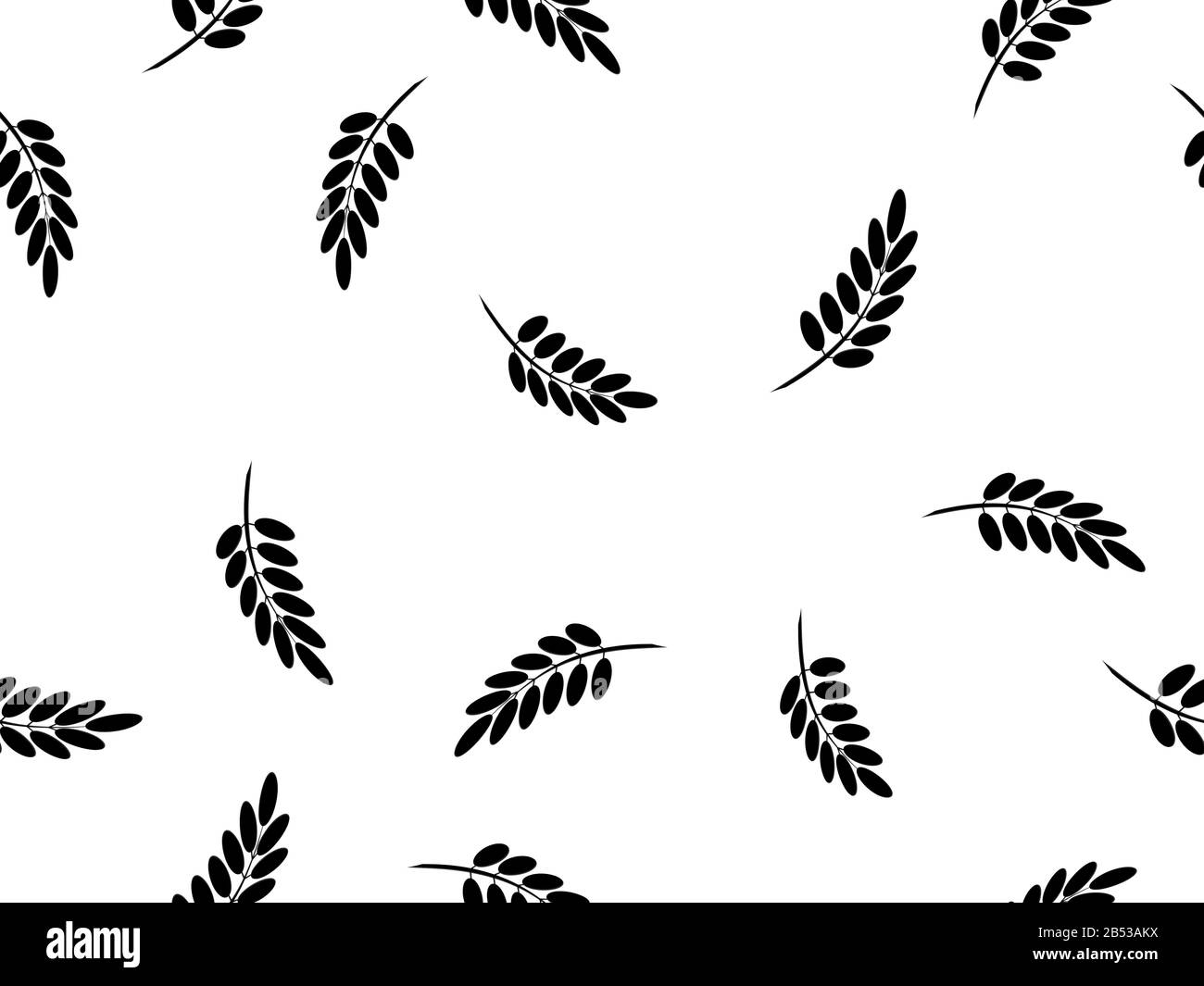 Répétition transparente. Brindilles noires avec minuscules pétales dans un motif répétitif sur un fond blanc. Banque D'Images