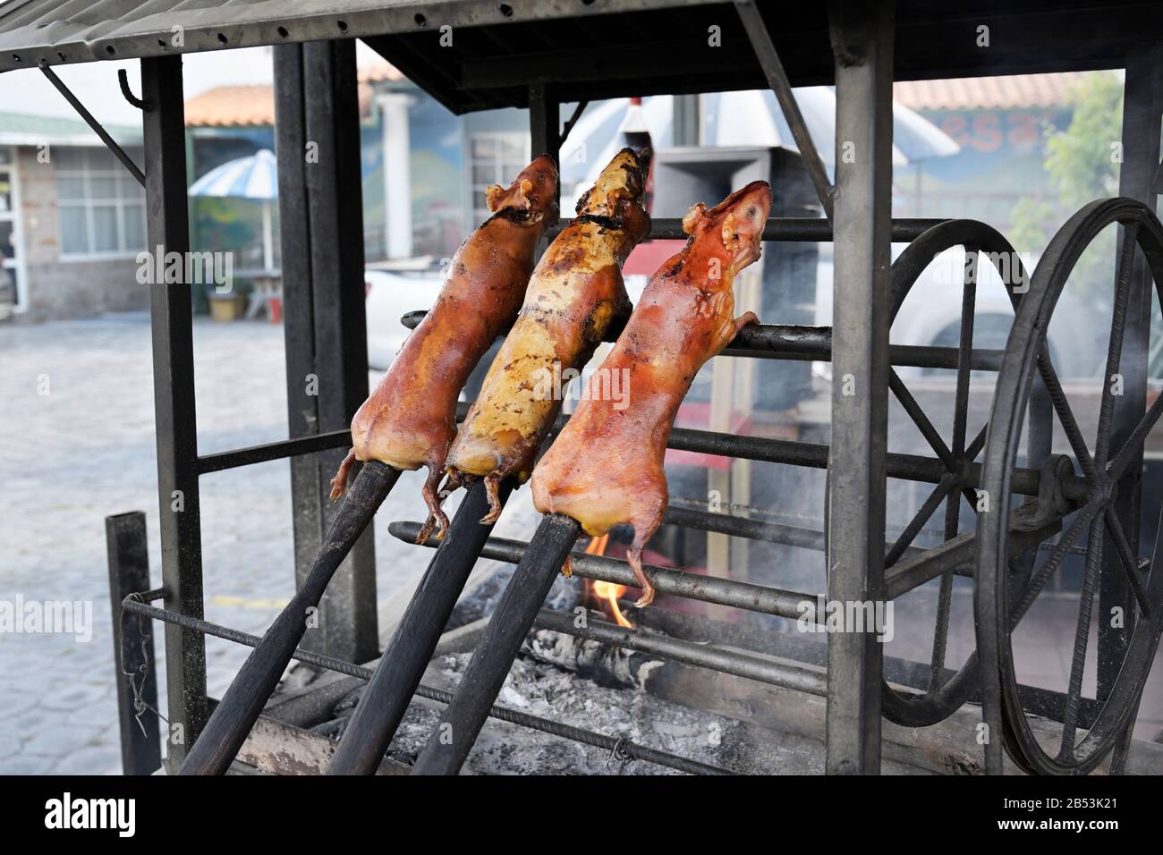 Cuy, cochon d'inde, rôti pour la nourriture Quito Equateur Banque D'Images