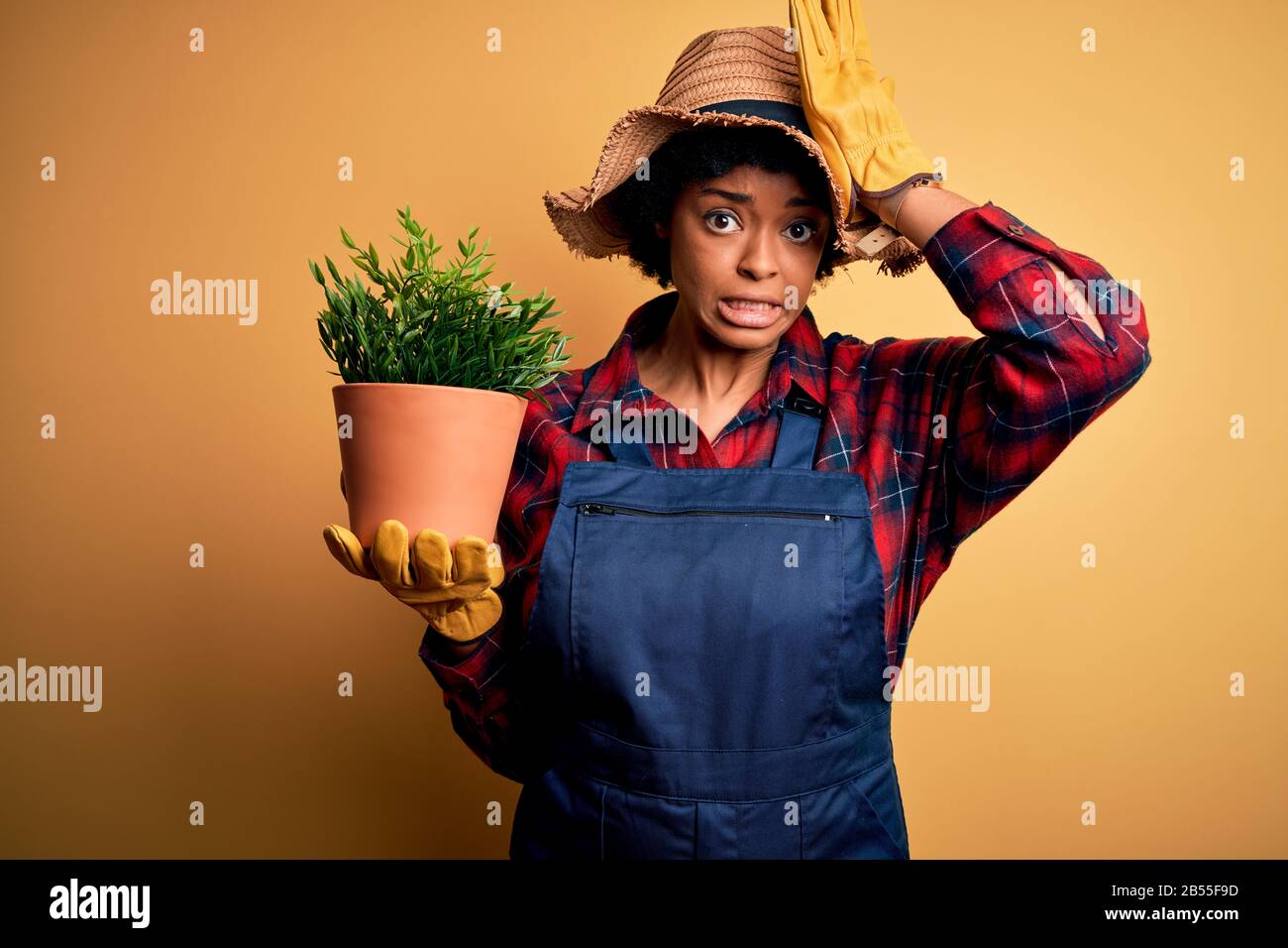Jeune paysan afro-américain avec des cheveux bouclés portant un tablier tenant pot avec des plantes stressées avec la main sur la tête, choqué avec la honte et la surprise Banque D'Images