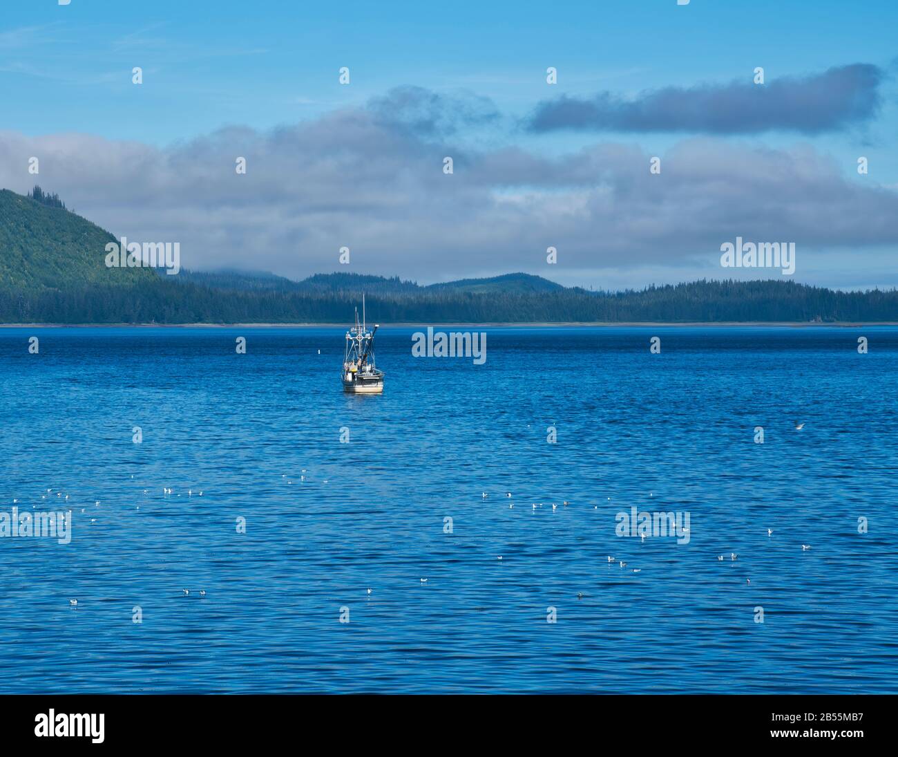 Petit bateau de pêche commercial dans l'eau calme près de Hoonah Alaska en été avec des mouettes. Banque D'Images