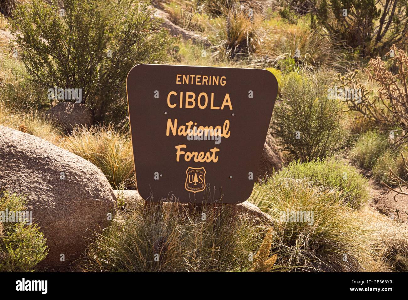 Signe à la forêt nationale de Cibola à l'extérieur d'Albuquerque, Nouveau-Mexique montrant l'environnement du sud-ouest avec cactus et rochers. Banque D'Images