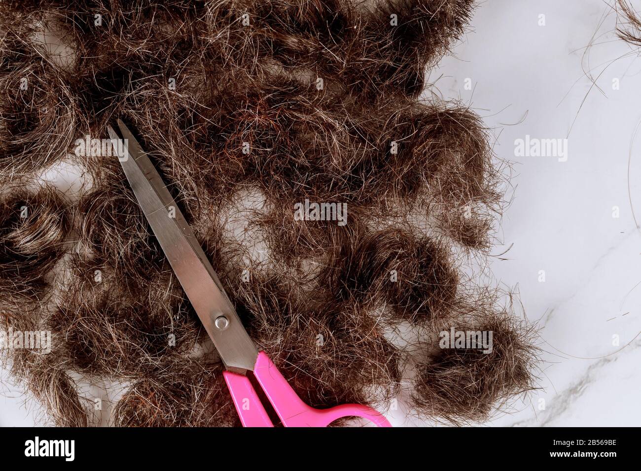 Tondre les cheveux avec des ciseaux dans un salon de coiffure avec une tondeuse à cheveux Banque D'Images