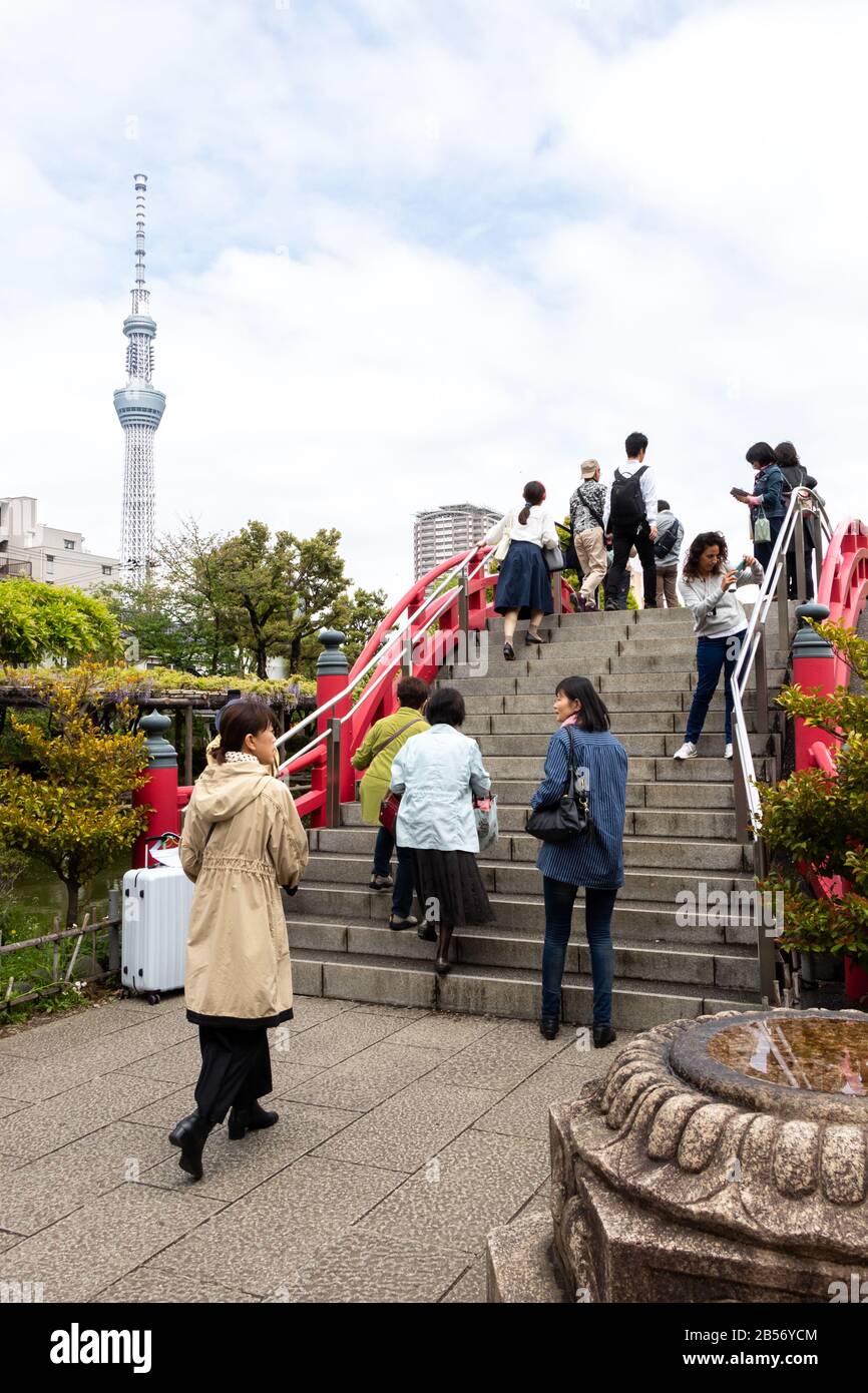 Tokyo, Japon, 1 mai 2019 : Voyage touristique non identifié pour voir la floraison fuji wisteria au sanctuaire de Kameido Tenjin avec Tokyo skytree et le ciel bleu comme backgro Banque D'Images