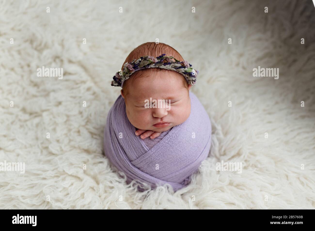 Dormant, une fille de dix jours nouveau-né a waddled dans un emballage lilas. Tourné dans le studio sur un tapis blanc de peau de mouton Banque D'Images