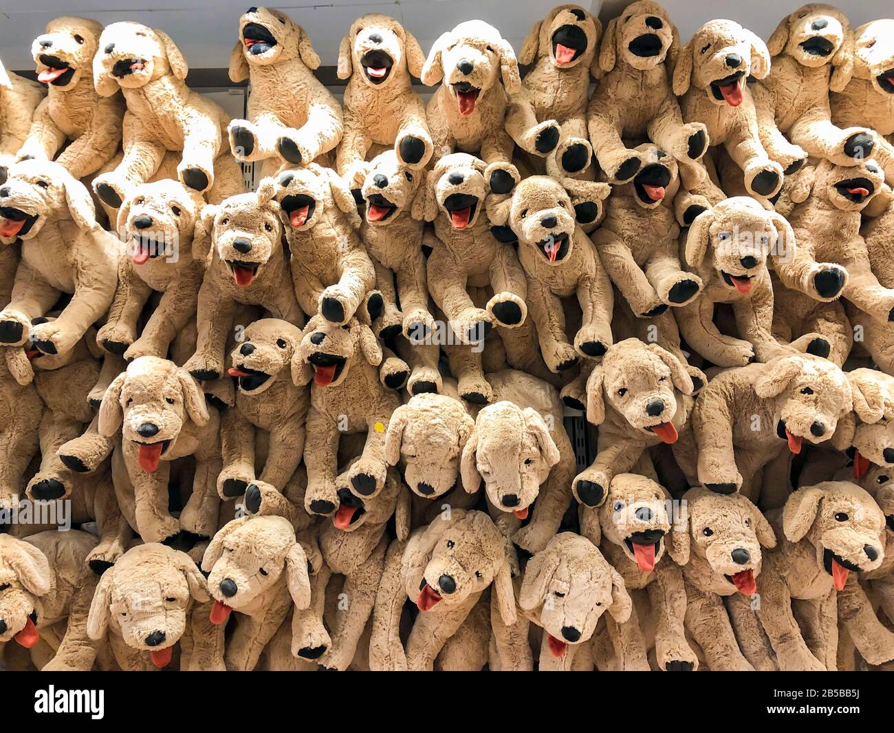 Les poupées brunes de chien accrochent sur le mur pour les ventes dans les enfants partent à la ministermagasin. Banque D'Images