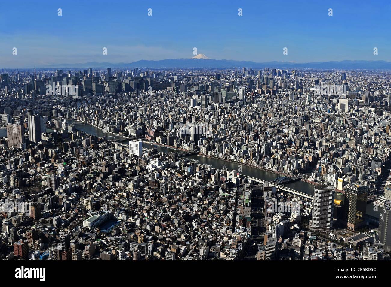 Vue panoramique sur le centre de Tokyo et le Mont Fuji depuis le Tokyo Sky Tree Banque D'Images