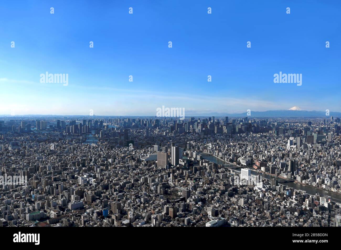 Vue panoramique sur le centre de Tokyo et le Mont Fuji depuis le Tokyo Sky Tree Banque D'Images