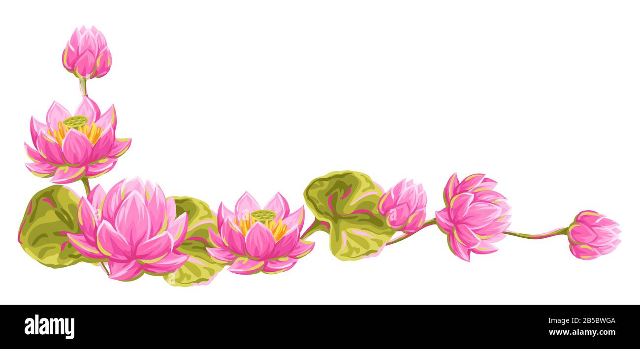 Élément décoratif avec fleurs de lotus. Illustration du nénuphars. Illustration de Vecteur