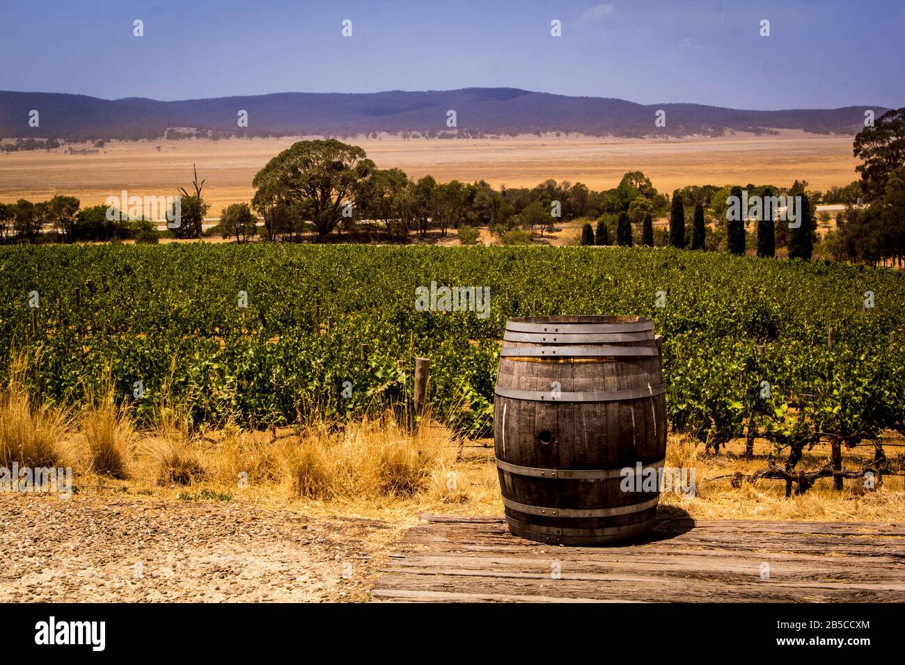 Vieux tonneau en bois dans le vignoble, Australie Banque D'Images