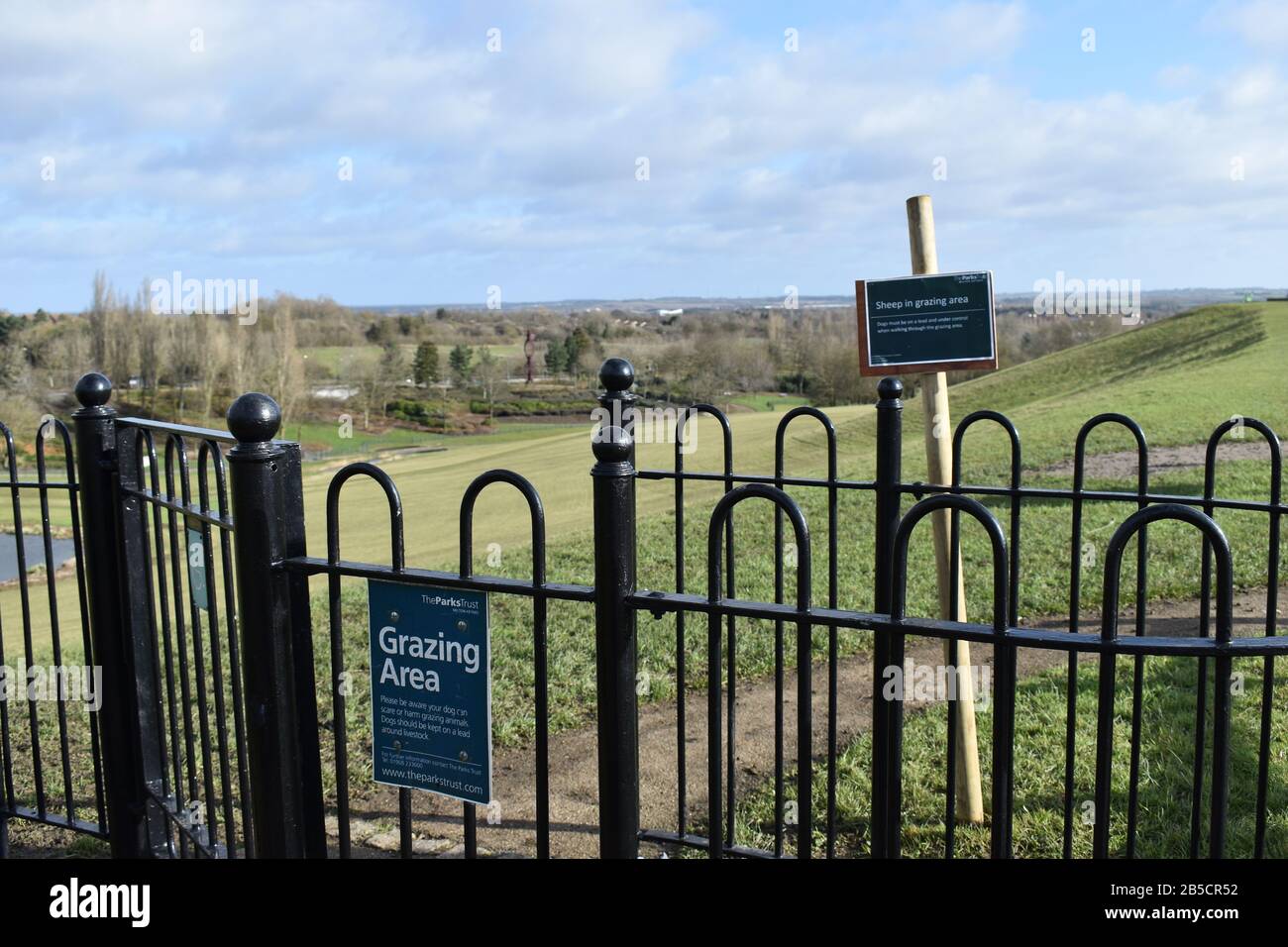 Pacage de moutons dans le parc Campbell, dans le centre de Milton Keynes. Banque D'Images