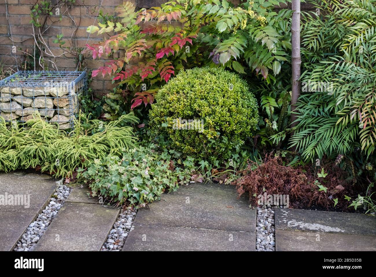 Un petit jardin de cour, avec des plantes vergeantes pour la couleur, la texture et la structure pendant l'hiver et le printemps. Fini avec des dalles de pavage et un gabion. Banque D'Images
