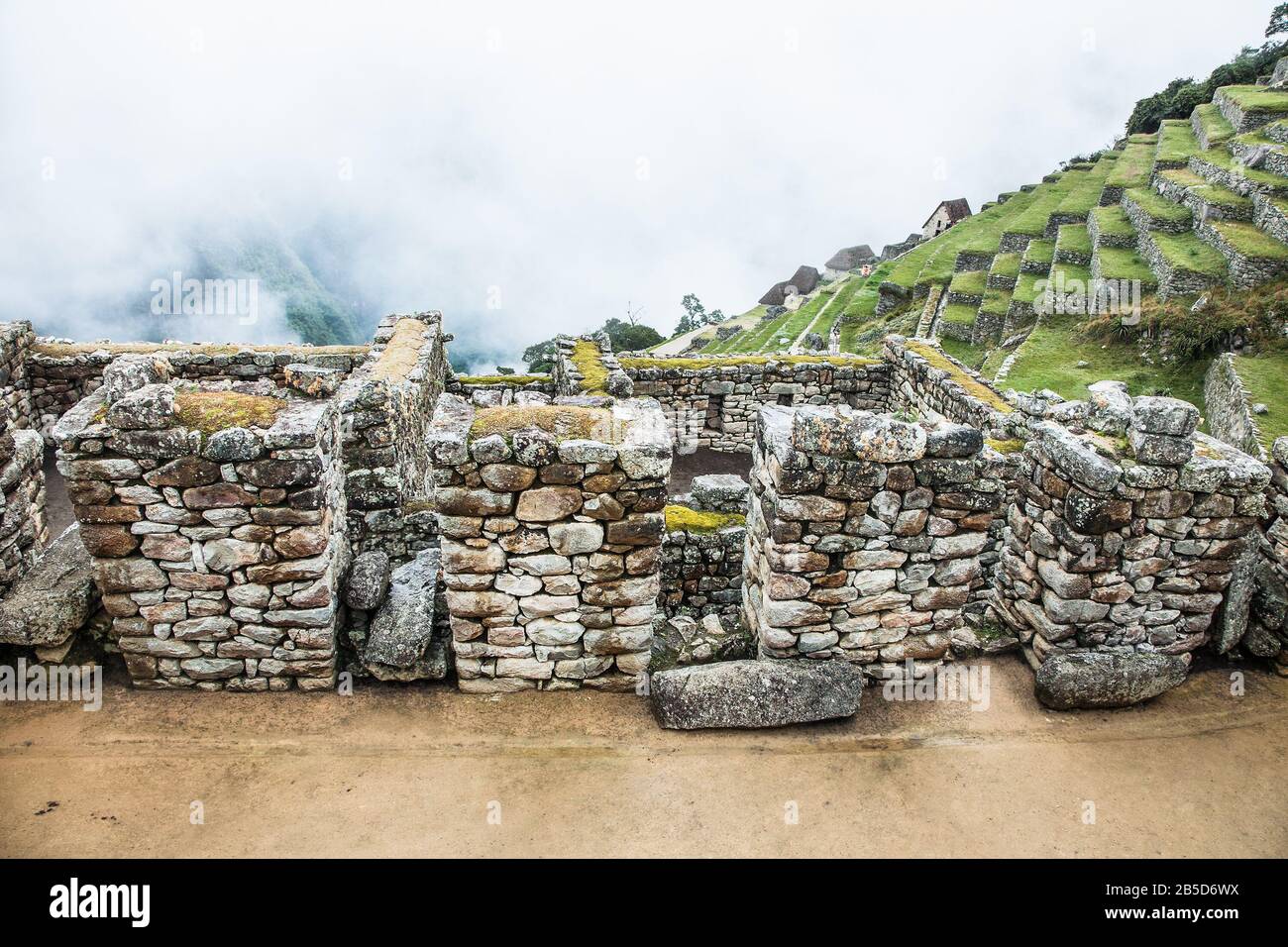 Vue panoramique sur Les Touristes sur les anciennes terrasses agricoles des ruines du Machu Picchu, au Pérou. Amérique Du Sud. Banque D'Images