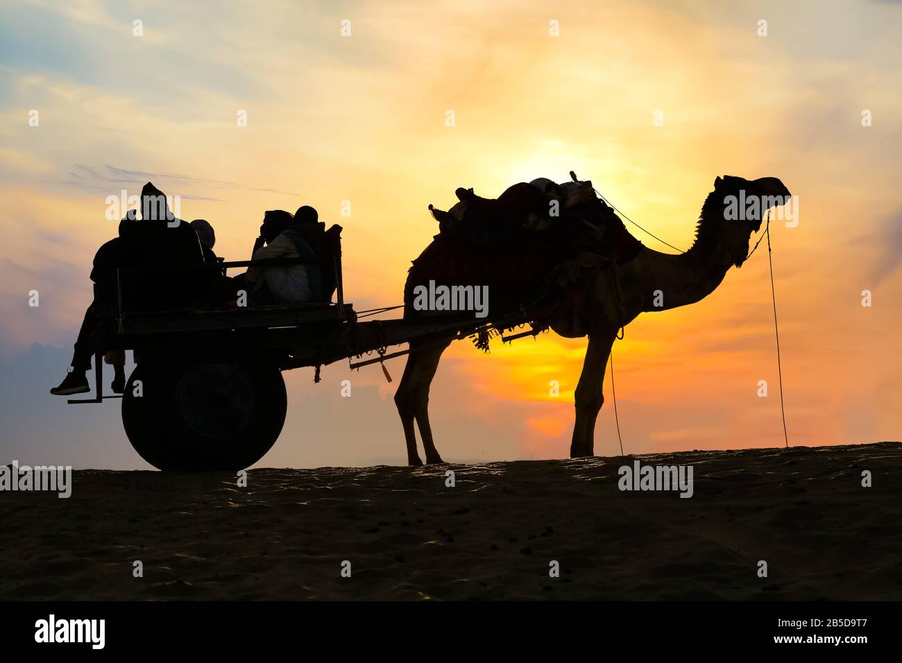 Chariot à dos de chameau avec touriste en silhouette au coucher du soleil au désert de Thar Jaisalmer Rajasthan, Inde Banque D'Images