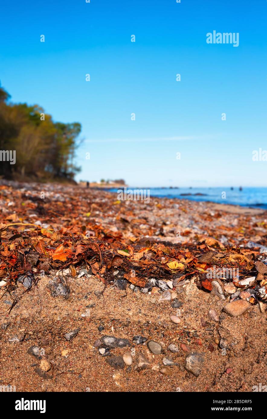 Un sol de plage formé de pierres de galets et de sable sur l'île de Fehmarn en mer Baltique Banque D'Images