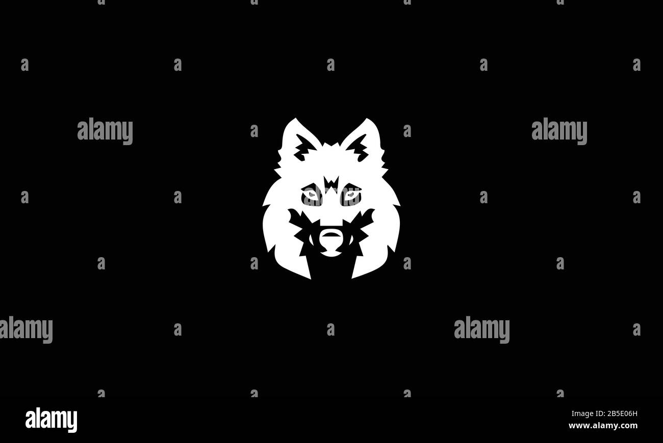 loup blanc sur fond noir Illustration de Vecteur