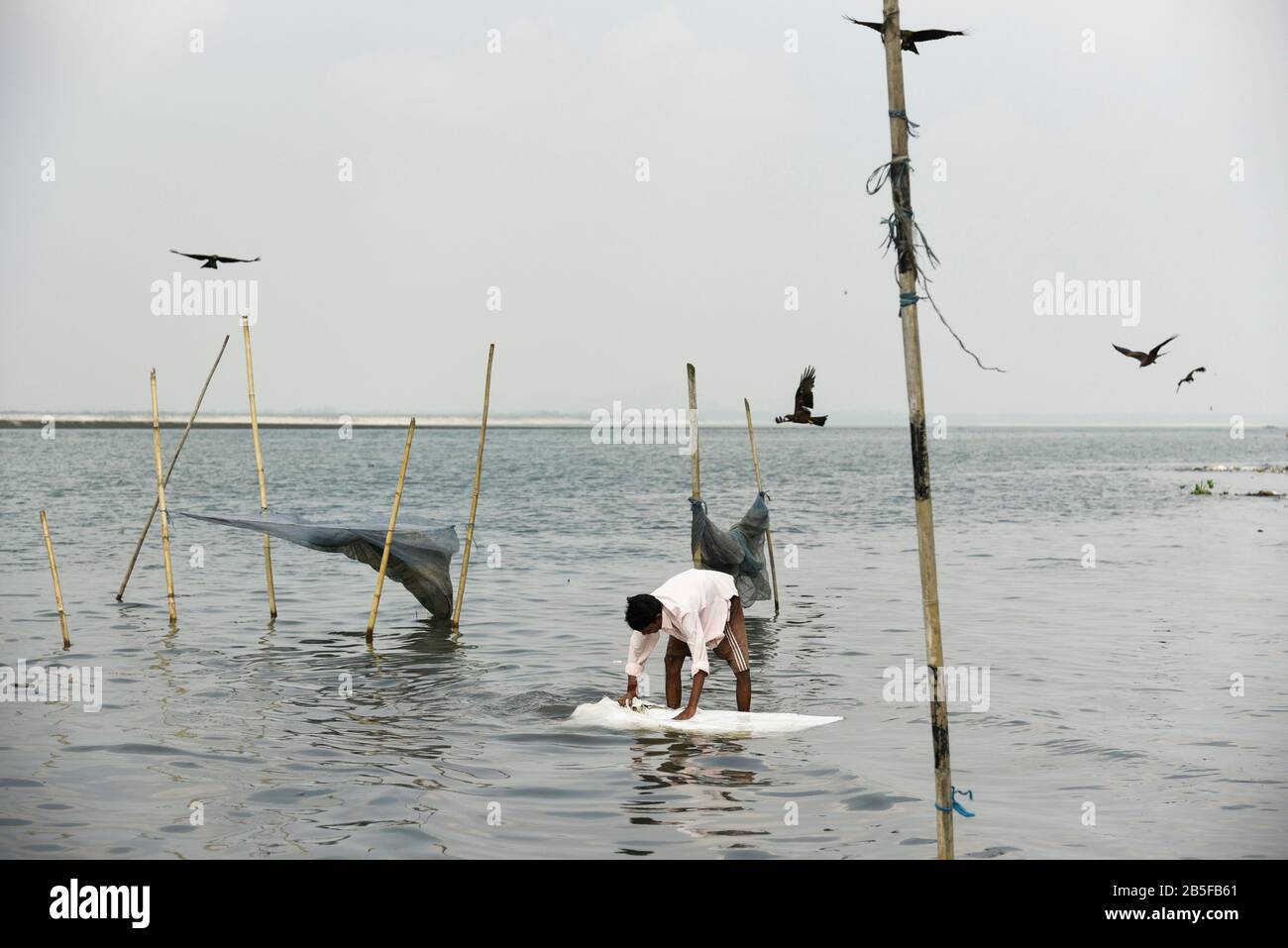 8 mars 2020, Guwahati, Assam, Inde: Un vendeur de poissons travaillant dans les rives de la rivière Brahmapoutre. (Image Crédit : © David Talukdar/Zuma Wire) Banque D'Images