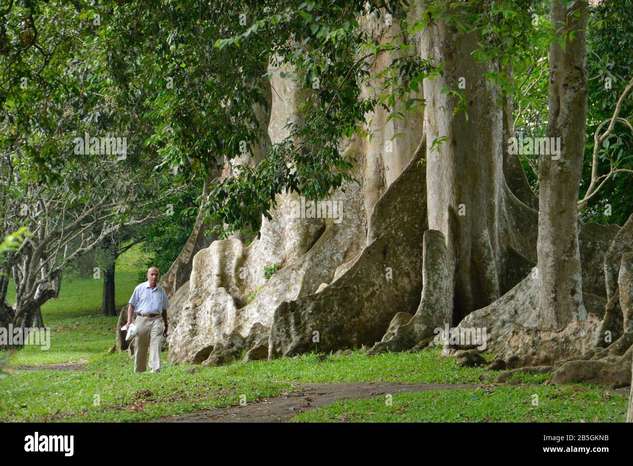Besucher, Jardins Botaniques Royaux, Peradeniya, Kandy, Sri Lanka Banque D'Images