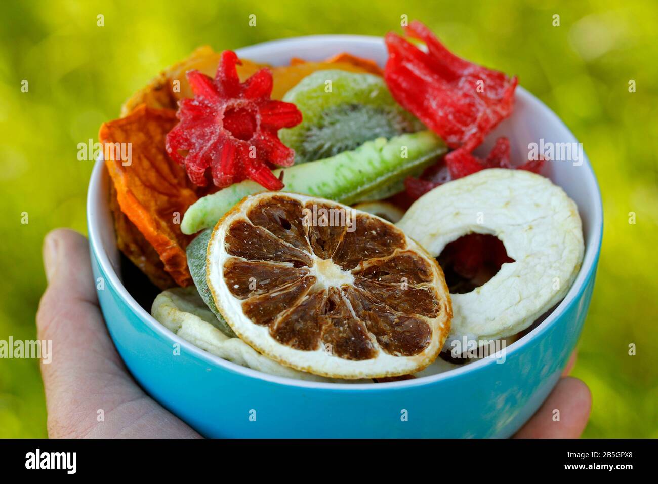 Fruits secs et fleurs d'hibiscus. Banque D'Images