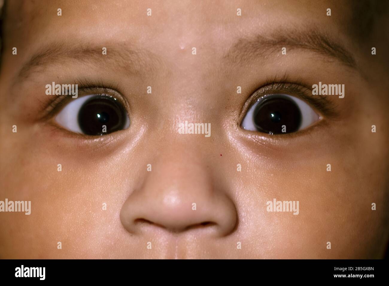 Nouveau Ne Yeux Et Nez De Bebe Indien Gros Plan Regardant L Appareil Photo Photo Stock Alamy Nouveau Ne Yeux Et Nez De Bebe Indien Gros Plan Regardant L Appareil Photo Photo Stock Alamy
