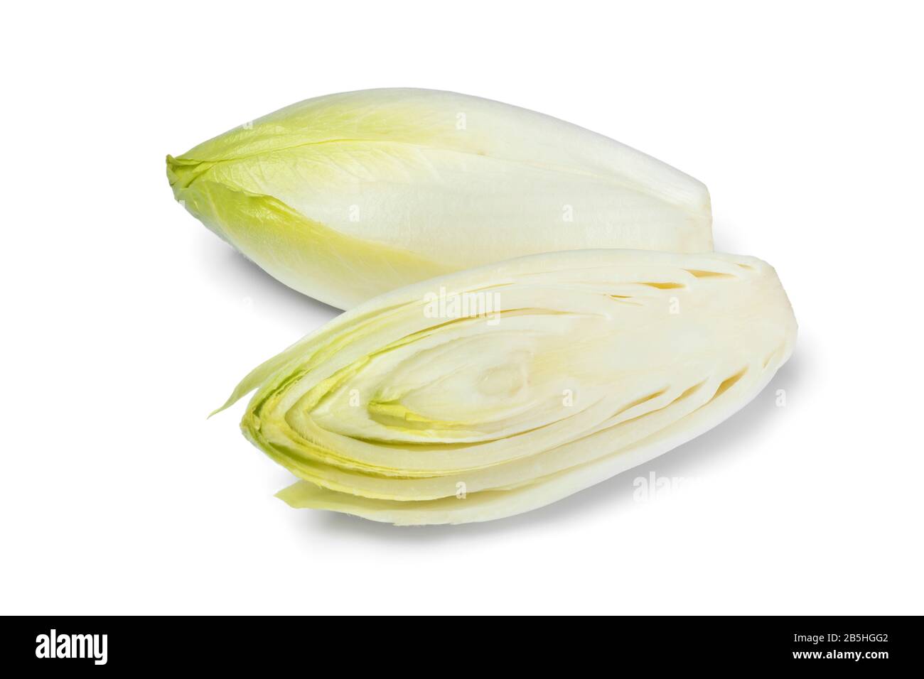 Endive belge brute entière et demi fraîche isolée sur fond blanc Banque D'Images