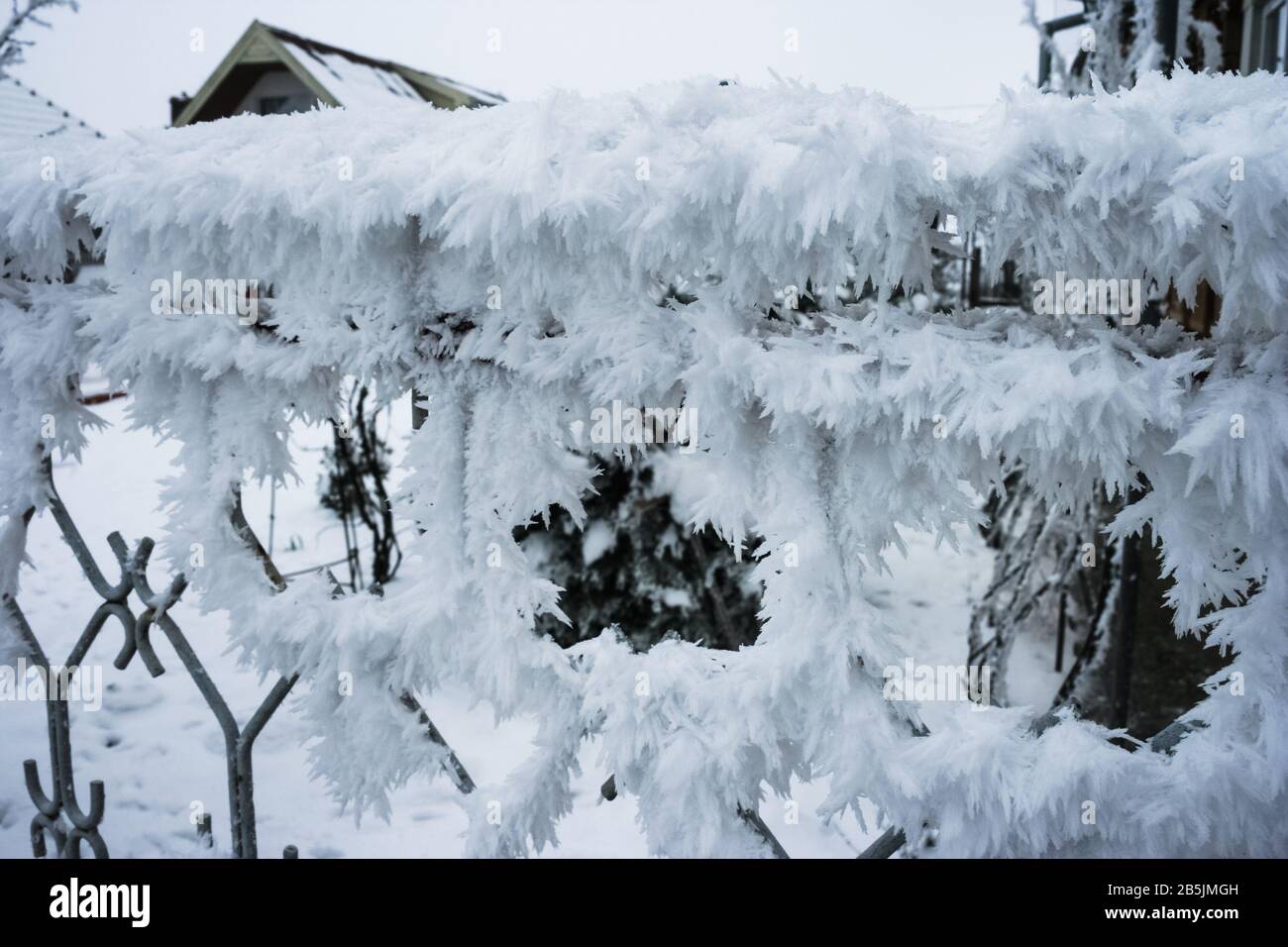Couche épaisse de rime ou de givre sur une clôture. De beaux cristaux de glace formés par le vent dans une atmosphère humide de congélation. Banque D'Images